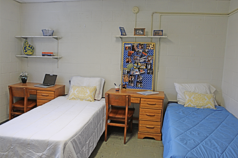 The inside of a double occupancy room inside of Saffer Hall. There are two beds, two desks, and three shelves.